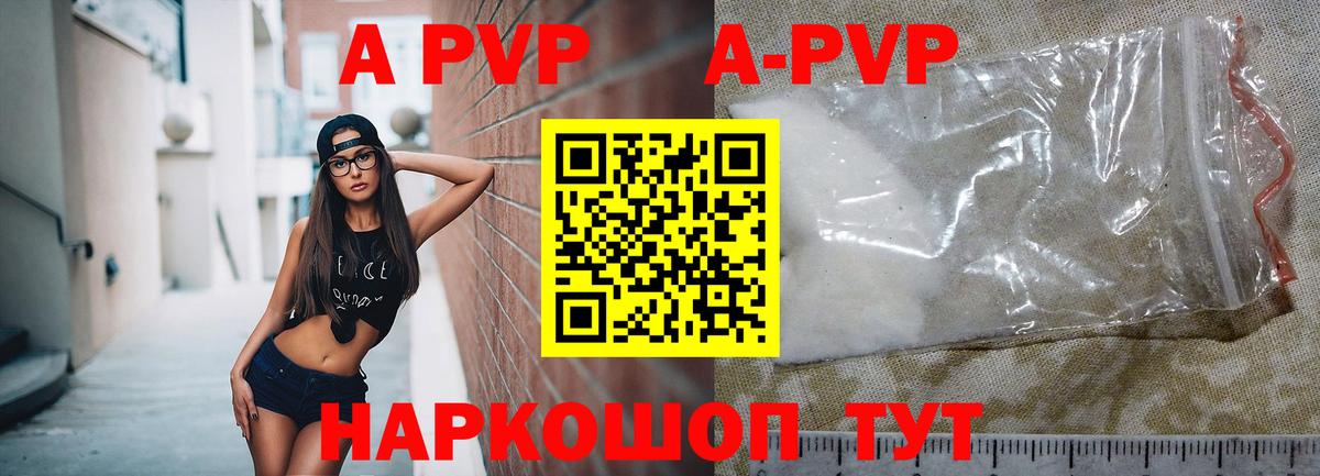 A PVP крисы CK Луга