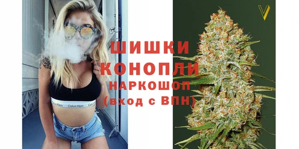 амф Кулебаки
