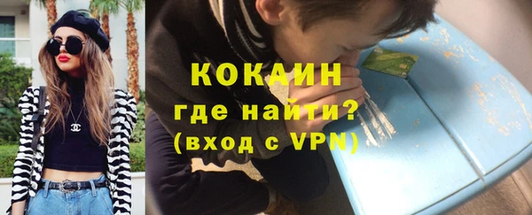индика Куйбышев