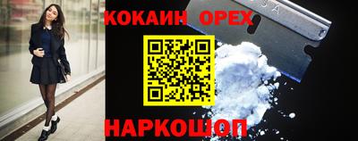 гашик Гусев