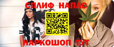 гашик Гусев