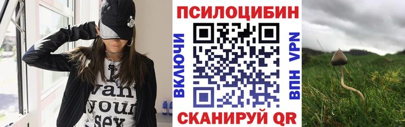 Галлюциногенные грибы Psilocybine cubensis  Луга 
