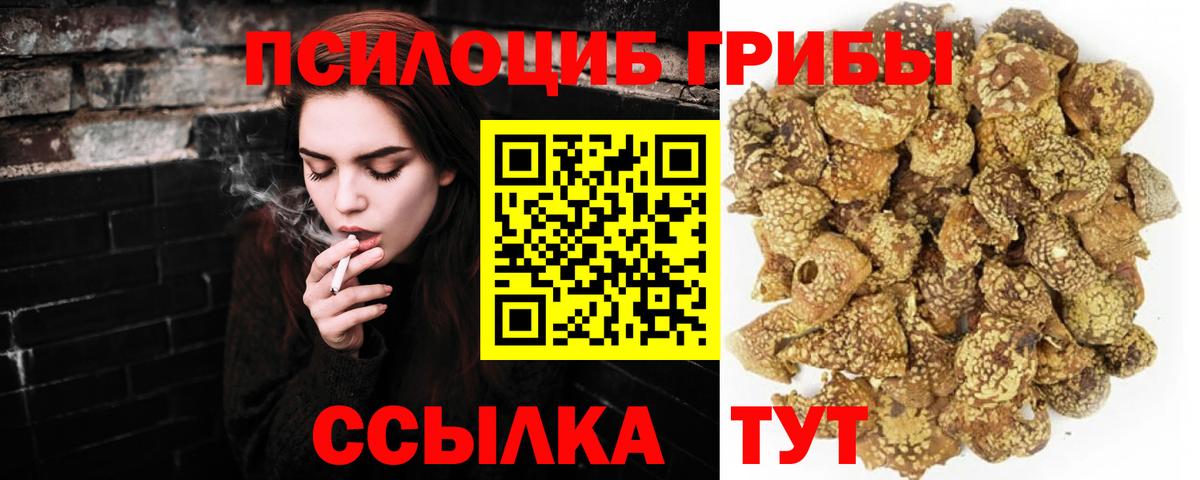 Псилоцибиновые грибы GOLDEN TEACHER Луга