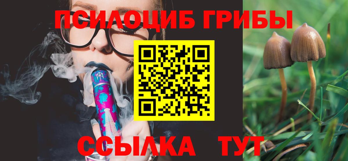 Псилоцибиновые грибы мухоморы  Псилоцибиновые грибы прущие грибы  Луга  Вход с VPN 